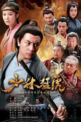 武林猛虎[电影解说]
