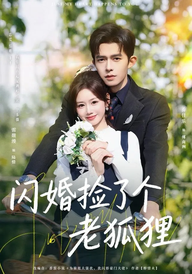 闪婚捡了个老狐狸