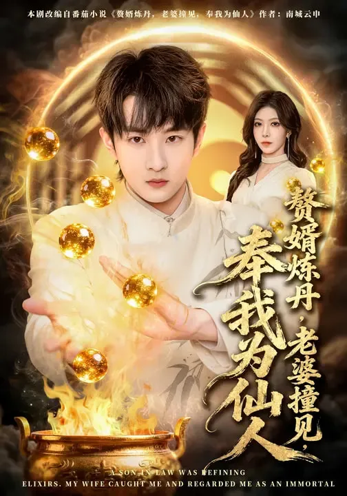 赘婿炼丹，老婆撞见，奉我为仙人