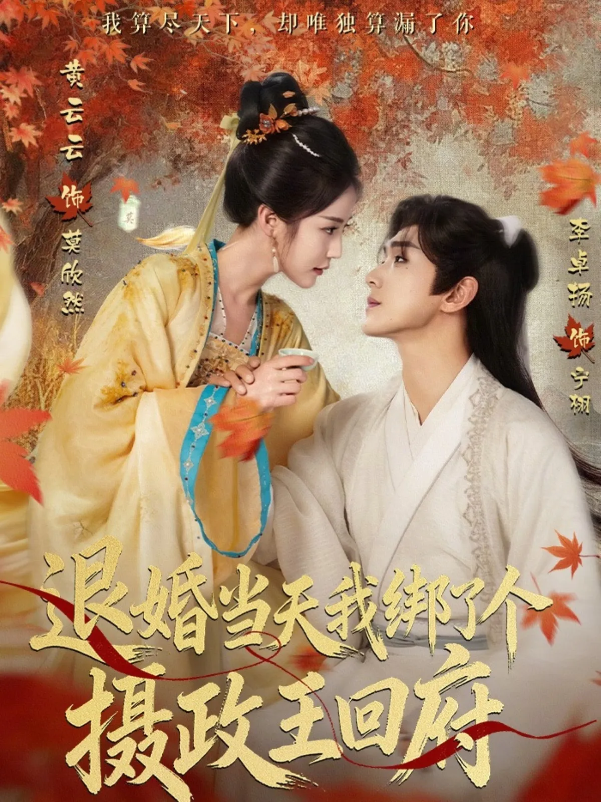 退婚当天我绑了个摄政王回府