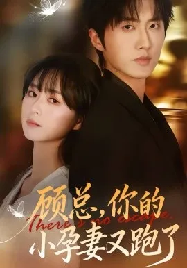 顾总，你的小孕妻又跑了
